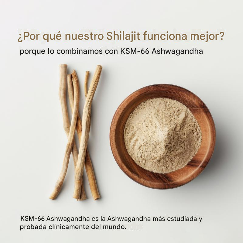 Be Bodywise® Shilajit + Ashwagandha KSM 66+ Black Musli IMPORTADO🇺🇸