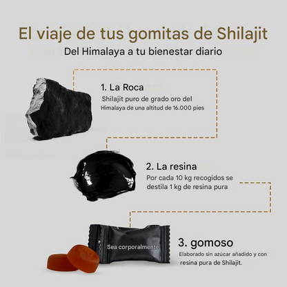 Be Bodywise® Shilajit + Ashwagandha KSM 66+ Black Musli IMPORTADO🇺🇸