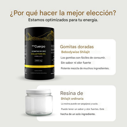 Be Bodywise® Shilajit + Ashwagandha KSM 66+ Black Musli IMPORTADO🇺🇸