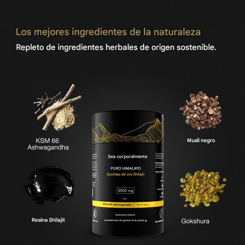 Be Bodywise® Shilajit + Ashwagandha KSM 66+ Black Musli IMPORTADO🇺🇸