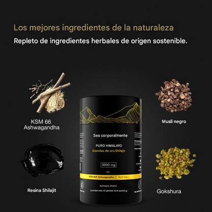 Be Bodywise® Shilajit + Ashwagandha KSM 66+ Black Musli IMPORTADO🇺🇸
